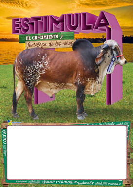 Almanaque Carnes cartón ¼ 
